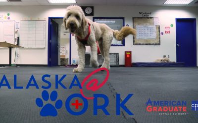 Video: Start a Career as a Vet Assistant ~ Alaska @ Work